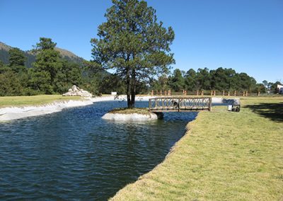 Lago Shute